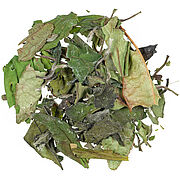 Bio Pai Mu Tan - Weißer Tee